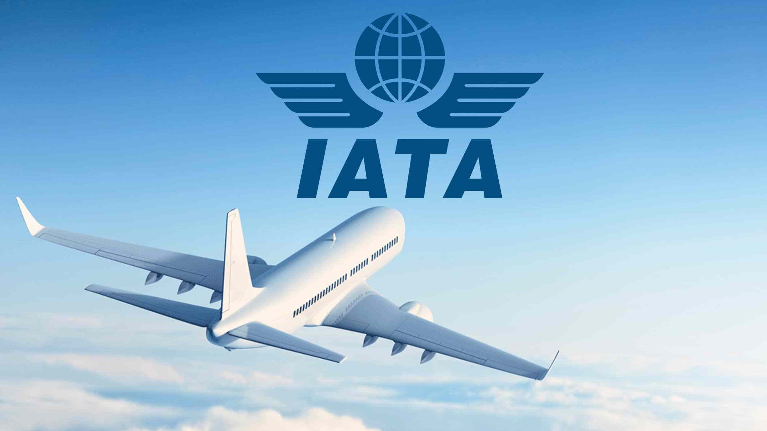 Do airlines use IATA?